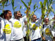 L'ancien porte-parole de la Confédération Paysanne, José Bové, le député-maire vert de Bègles, Noël Mamère (3e gauche) et le fondateur du «collectif des faucheurs d'OGM» Jean-Baptiste Libouban.
(Photo : AFP)