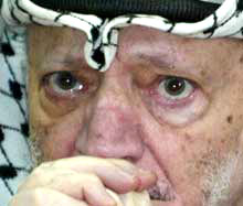 Yasser Arafat face à la crise. 

		(Photo : AFP)