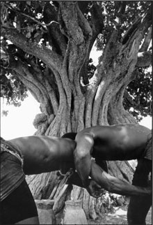 Lutteurs à Mbam, Sénégal 

		(Photo : Philippe Bordas)