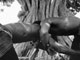 Lutteurs à Mbam, Sénégal(Photo : Philippe Bordas)