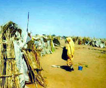 25 000 déplacés vivent dans le camp de Ryad au Darfour Sud.Photo : Olivier Rogez/RFI