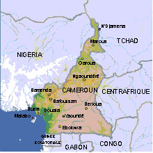 Carte du Cameroun 

		(Carte : DR)