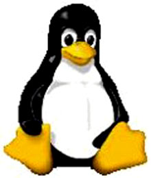 Le petit pingouin symbole de Linux à la conquête de l'Asie 

		(Photo : DR)