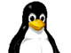 Le petit pingouin symbole de Linux à la conquête de l'Asie 

		(Photo : DR)