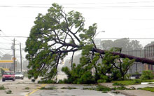 Le cyclone : «<EM>Frances</EM>» déferle sur le littoral Est de la péninsule floridienne, renversant toits, arbres et bateaux. 

		(Photo : AFP)