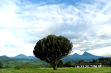 Le parc national de Virunga est inscrit sur la liste de l'Unesco du patrimoine mondial en péril depuis 1994. 

		(Photo: AFP)