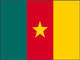 Drapeau du Cameroun &#13;&#10;&#13;&#10;&#9;&#9;DR
