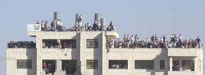 Sur le toit des immeubles qui environnent la Mouqataa, nombre de Palestiniens se sont massés pour assister à l'enterrement du chef de l'Autorité palestinienne. 

		(Photo: Manu Pochez/RFI)