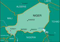 Le Niger : 1 267 000 km2, à 80 % désertique et à l'avant-dernier rang du développement humain. 

		(RFI/DR)