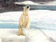 Selon Greenpeace, la vie de milliers d'ours blancs polaires est aujourd'hui menacée par le réchauffement du pôle nord qui fait fondre la banquise et perturbe l'écosystème.(Photo : AFP)