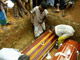 Au Sri Lanka, les autorités ont décrété un jour de deuil national pour vendredi 31 décembre. 

		(Photo : AFP)
