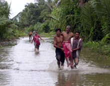 De nombreuses routes indonésiennes sont inondées, recouvertes de boue ou entravées par des troncs d’arbres. 

		(Photo : AFP)