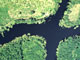Vue aérienne de l'Amazonie.(Photo: Luis Alberto/Unesco)