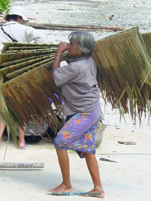 Travaux de reconstruction d'un village. 

		(Photo : Derek Elias, ESD Coordinator Asia Pacific/Unesco)