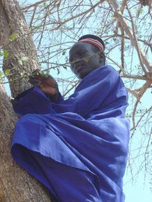 Confrontés à la famine, les habitants en sont réduits à manger des racines et à cueillir les feuilles des arbres pour se nourrir.(Photo : Laurent Correau/RFI)