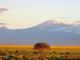 Vue du mont Kilimandjaro.(Photo: AFP)