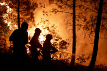 Dimanche, onze pompiers ont trouvé la mort en luttant contre le feu dans la région de Guadalajara.(Photo: AFP)