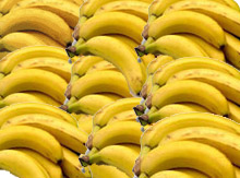 L'Union européenne perd la guerre de la banane.DR
