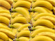 L'Union européenne perd la guerre de la banane.DR