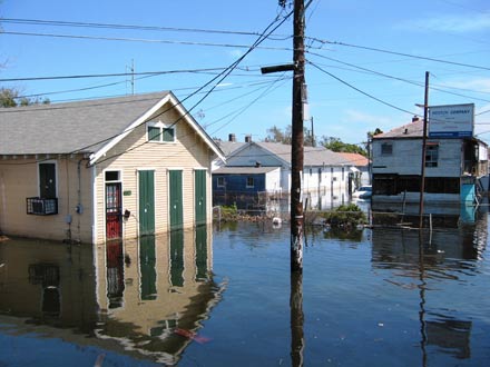 La Nouvelle-Orléans, rue Banks: 80% de la ville ont été inondés au passage de Katrina.(Photo : Claude Verlon/RFI)