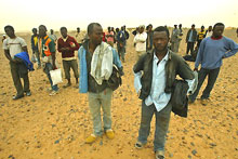 Ces migrants errent dans le désert du Sahara, non loin de la frontière algéro-marocaine.(Photo: AFP)