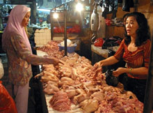 En Indonésie 70% de la population vit en contact direct avec des volatiles.(Photo: AFP)