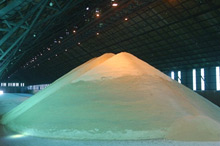 La réforme du sucre décidée à Bruxelles risque de pénaliser notamment l’économie mauricienne.(Photo : AFP)