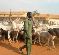 Dans les rue de Juba, la nouvelle capitale du Sud Soudan.(Photo : Gabriel Kahn/RFI)