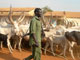 Dans les rue de Juba, la nouvelle capitale du Sud Soudan.(Photo : Gabriel Kahn/RFI)