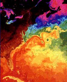Le Gulf Stream le long des côtes américaines. Le radiospectromètre traduit la chaleur de l'eau en couleurs: les zones les plus chaudes (25°) sont en rouge.(Photo: Nasa)