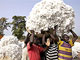 Travailleurs du coton au Burkina Faso.(Photo: AFP)