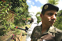 Opération de démoustication des jardins particuliers, le 23 janvier 2006 à Saint-Louis de la Réunion. 

		(Photo: AFP)