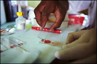Des anti-paludiques comportant uniquement de l'artémisinine pourraient créer une résistance du parasite au médicament.(Photo : www.msf.lu)
