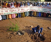 Un jeune malien plante un arbre pour symboliser la fin du premier Forum social mondial sur le sol africain.(Photo : AFP)