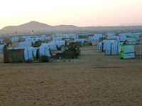 Darfour Nord: le camp de réfugiés d'Abu Shok.(Photo : Laurent Correau/RFI)