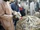 La présence du virus de la grippe aviaire dans le Nord du pays ne semble pas effrayer les Nigérians. Les marchés de Kano sont bondés. 

		(photo : AFP)