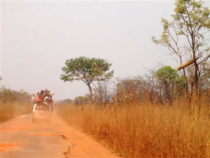 La route du Cameroun n'a rien d'une promenade de santé. Côté centrafricain, plus de 200 kilomètres ne sont pas bitumés et le reste est jalonné de nids de poule.(Photo : Carine Frenk/RFI)