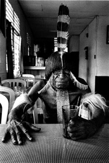 <strong>Les Dani (Papous), Irian Jaya, Indonésie, 1997<br /></strong>Un Dania commandé un thé glacé dans un restaurant tenu par des colons javanais. Victime de racisme, il se vit servir un thé bouillant dont la corne de sa main lui empêcha de sentir la chaleur ; ce n'est que lorsque le liquide se répandit dans sa gorge qu'il se brûla. Cet homme s'est amputé des phalanges de la main gauche, comme l'exige la coutume lors du décès d'un enfant ou d'une épouse.© Musée de l'Homme