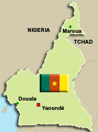 Maroua est célèbre pour son quartier Doualaré, où se concentrent les activités liées au poulet. La présence du virus H5N1 dans cette ville est tout un symbole pour le pays.(Carte : DK/RFI)