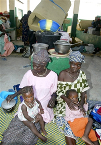 En Casamance, le camp de réfugiés de Bourgadie, proche de la frontière bissau-guinéenne, accueille près de 800 personnes.(Photo : AFP)