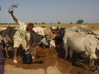 En Afrique l'eau est surtout mal répartie et mal gérée.(Photo : Monique Mas/RFI)