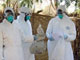 Pour l'abattage des volailles, les agents sanitaires confinent celles-ci dans un sac, où elles meurent par étouffement.(Photo : AFP)