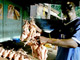 Les vendeurs de poulets braisés dans les «maquis» d'Abidjan redoutent une baisse de la consommation des volailles, en raison de la grippe aviaire.(Photo : AFP)