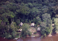 C'est dans ce camp isolé en forêt guyanaise que deux guides, piroguiers-charpentiers, ont été tués par balle.(Photo : association Arataï)