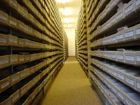 Les archives du SIR contiennent plus de 50 millions de fiches d'information. (© Service International de Recherches)