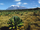 Le mont Kilimandjaro. 

		(Photo: Unesco/C.Lubbert)