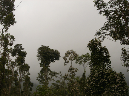 Nuage de cendre sur les flancs du Merapi. 

		(Photo : Manu Pochez / RFI)
