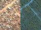 La localité zimbabwéenne de Porta Farm avant et après l'opération Murambatsvina. 

		(Images satellite de Digital Globe, Inc.)