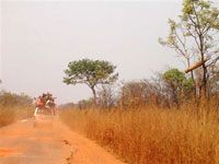 Beaucoup de routes en Afrique ne sont pas bitumées et sont souvent jalonnées de nids de poule. 

		(Photo : Carine Frenk/RFI)