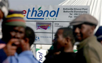 La société sud-africaine Ethanol Africa est la première à produire du pétrole vert en Afrique. 

		(Photo : AFP)